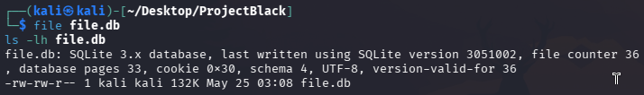 Downloaded database file